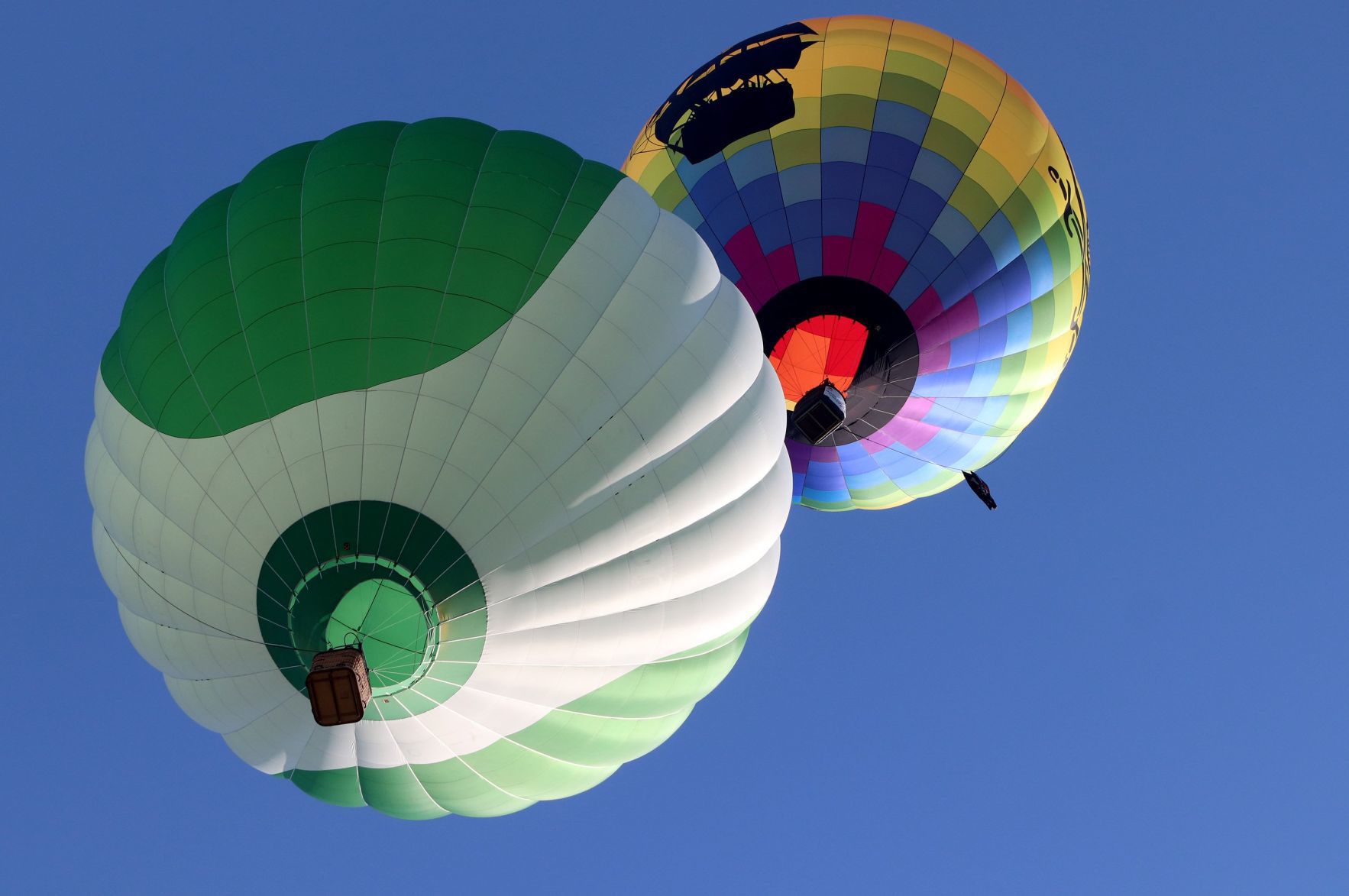 The 46th annual Great Forest Park Balloon Race